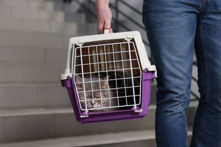 Téléchargez les photos : Voyage avec animal de compagnie. Homme tenant transporteur avec chat mignon et sac à l'intérieur, gros plan - en image libre de droit