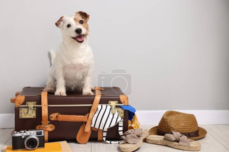 Téléchargez les photos : Voyage avec animal de compagnie. Chien, vêtements et valise à l'intérieur, espace pour texte - en image libre de droit