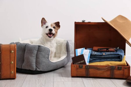 Téléchargez les photos : Voyage avec animal de compagnie. Chien, vêtements, passeport, billets et valise à l'intérieur - en image libre de droit