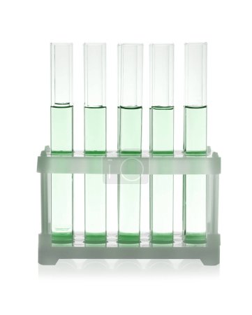 Photo for Test tubes with light green liquid in rack isolated on white - Royalty Free Image