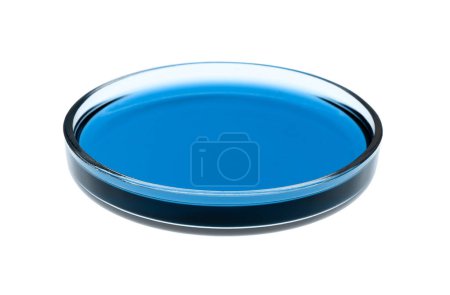 Photo for Petri dish with blue liquid isolated on white. Laboratory glassware - Royalty Free Image
