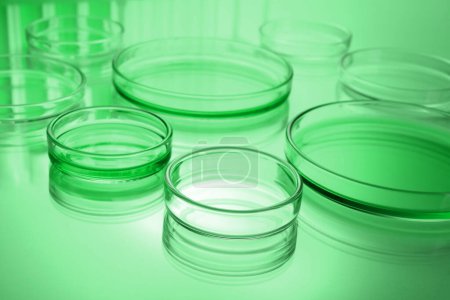 Photo for Petri dishes with liquid on table, toned in green. Laboratory glassware - Royalty Free Image