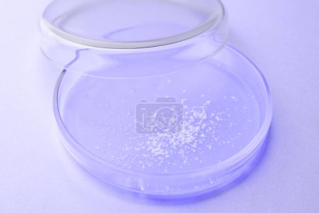Photo for Petri dish with different sample on light violet background, closeup. Laboratory glassware - Royalty Free Image