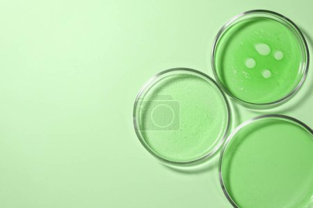 Photo for Petri dishes with different samples on light green background, top view. Space for text. Laboratory glassware - Royalty Free Image