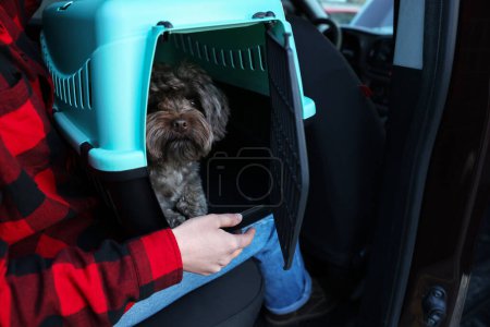 Frau mit Tragetuch, die mit ihrem Hund im Auto unterwegs ist, Nahaufnahme. Sicherer Transport