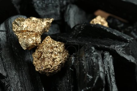 Photo for Shiny gold nuggets on coal, closeup. Space for text - Royalty Free Image