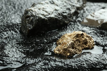 Photo for Shiny gold nugget on wet stones. Space for text - Royalty Free Image