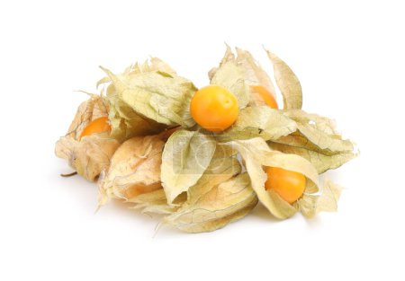 Muchos frutos maduros de physalis con cálices aislados en blanco