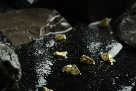 Photo for Shiny gold nuggets on wet black stone - Royalty Free Image