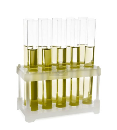 Photo for Test tubes with yellow liquid in rack isolated on white - Royalty Free Image