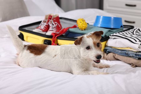 Reisen mit Haustier. Hund, Kleidung und Koffer im Bett