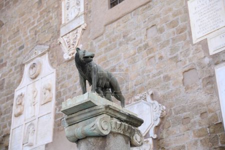 Roma, Italia - 4 de febrero de 2024: Estatua de Lobo Capitolino al aire libre, vista en ángulo bajo