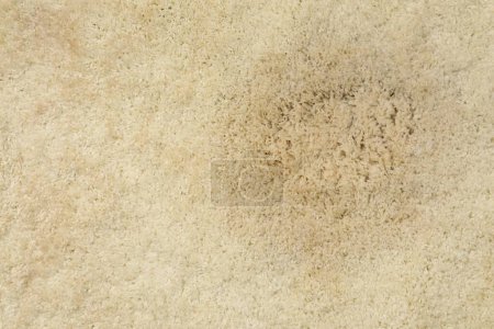 Mancha húmeda en alfombra beige como fondo, vista superior