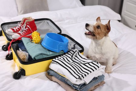 Téléchargez les photos : Voyage avec animal de compagnie. Chien, vêtements et valise sur lit intérieur - en image libre de droit