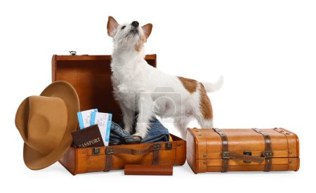 Téléchargez les photos : Voyage avec animal de compagnie. Chien, vêtements et valises sur fond blanc - en image libre de droit