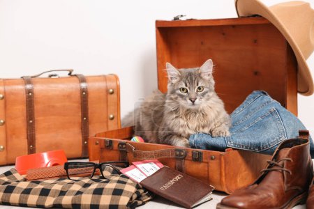 Téléchargez les photos : Voyage avec animal de compagnie. Chat, vêtements, passeport, billets et valises à l'intérieur - en image libre de droit