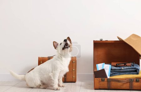 Reisen mit Haustier. Hund, Kleidung, Reisepass, Tickets und Koffer im Haus