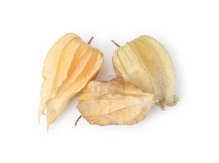 Frutas maduras de physalis con cálices aislados en blanco, vista superior