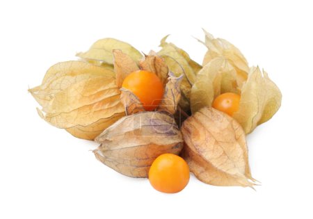 Many ripe physalis fruits with calyxes isolated on white