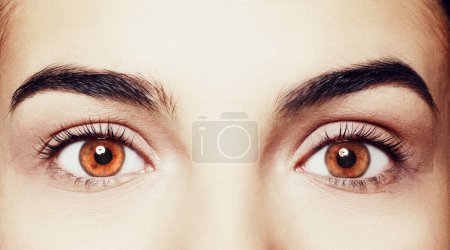 Photo for Beautiful woman with captivating brown eyes, closeup - Royalty Free Image