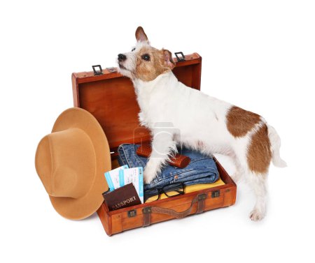 Reisen mit Haustier. Hund, Kleidung und Koffer auf weißem Hintergrund