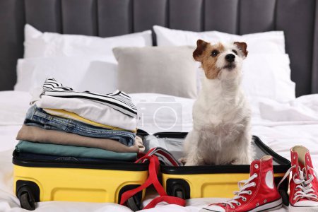 Reisen mit Haustier. Hund, Kleidung, Schuhe und Koffer im Bett