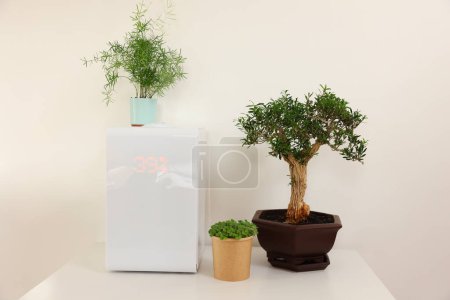 Humidificador de aire moderno y plantas de interior en mesa blanca