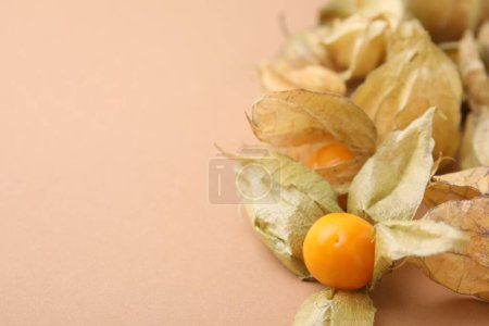 Ripe physalis fruits with calyxes on beige background, closeup. Space for text