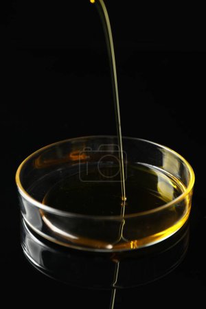 Pouring yellow oil into Petri dish on black background, closeup