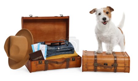 Reisen mit Haustier. Hund, Kleidung und Koffer auf weißem Hintergrund