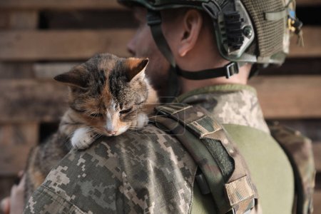 Ukrainian soldier rescuing stray cat outdoors, closeup