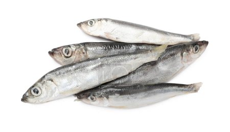 Photo for Fresh raw sprats isolated on white, top view - Royalty Free Image