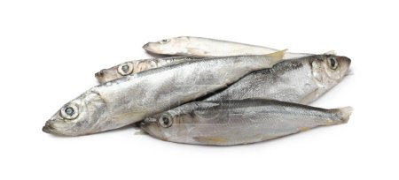 Photo for Fresh raw Baltic sprats isolated on white - Royalty Free Image