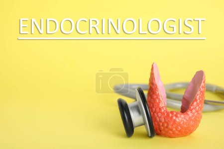 Endocrinologist. Model of thyroid gland and stethoscope on yellow background, closeup. Space for text