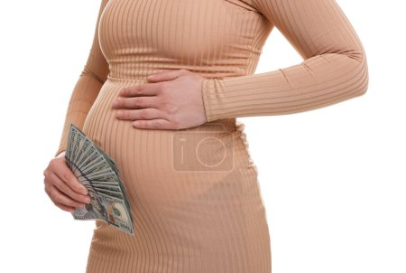 Téléchargez les photos : Mère porteuse. Femme enceinte avec des billets en dollars sur fond blanc, gros plan - en image libre de droit