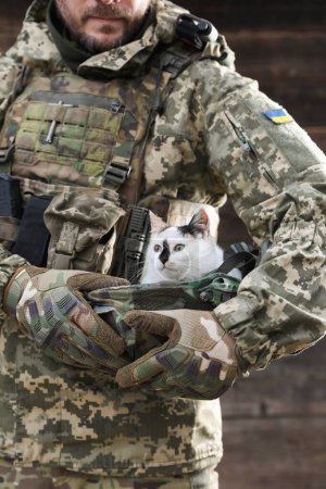Ukrainischer Soldat rettet Tier. Kleine streunende Katze sitzt im Freien im Helm, Nahaufnahme