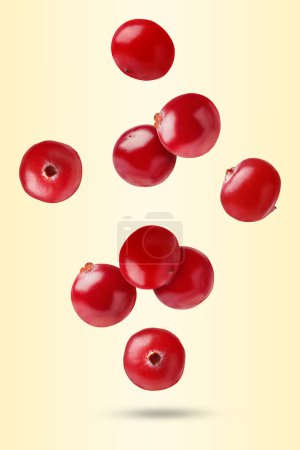 Fresh red cranberries falling on pale yellow background