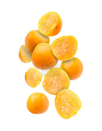 Frutas maduras de physalis naranja que caen sobre fondo blanco
