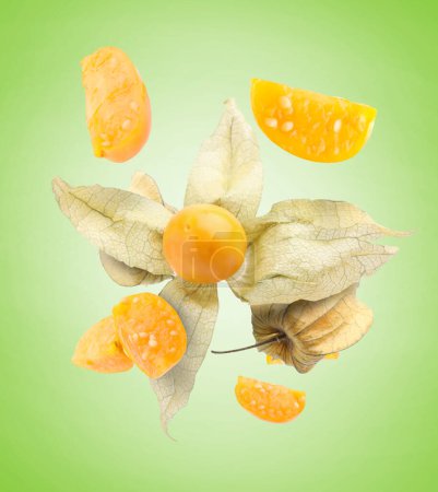 Ripe orange physalis fruits with calyx falling on light green gradient background