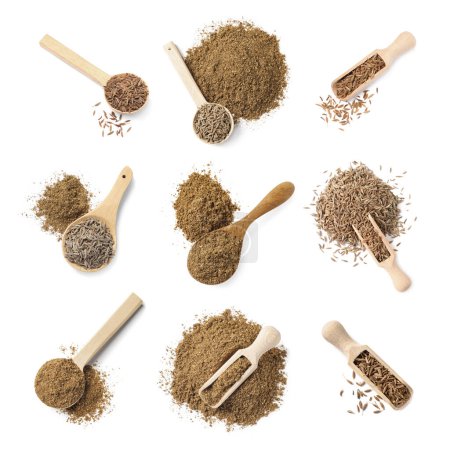 Aromatic caraway (Persian cumin) seeds and powder isolated on white, top view