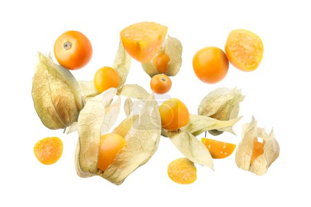 Frutas maduras de physalis naranja con cáliz cayendo sobre fondo blanco