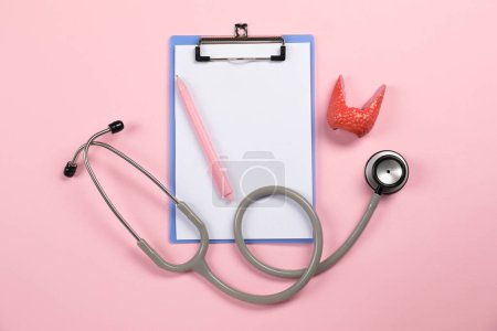 Endocrinologie. Stéthoscope, presse-papiers, modèle de glande thyroïde et stylo sur fond rose, pose plate