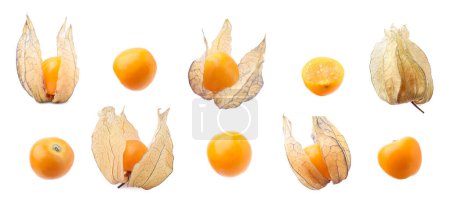 Frutos maduros de physalis naranja con cáliz aislado en blanco, engastado