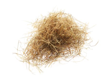 Heap of dried hay on white background, top view