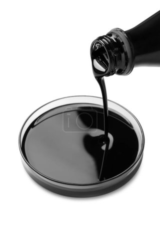 Pouring black crude oil into Petri dish on white background