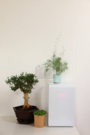 Moderne Luftbefeuchter und Zimmerpflanzen auf weißem Tisch