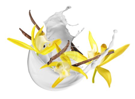 Photo for Vanilla pods and flowers with splash of milk in air on white background - Royalty Free Image