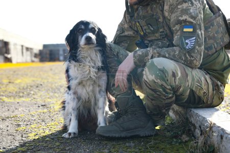 Ukrainischer Soldat mit streunendem Hund an sonnigem Tag im Freien, Nahaufnahme