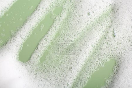 Mousse duveteuse blanche sur fond vert, vue de dessus