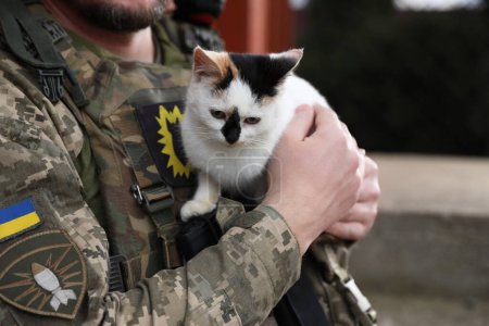 Ukrainischer Soldat mit streunender Katze im Freien, Nahaufnahme